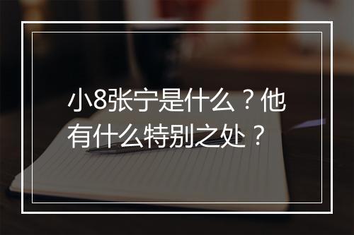 小8张宁是什么？他有什么特别之处？