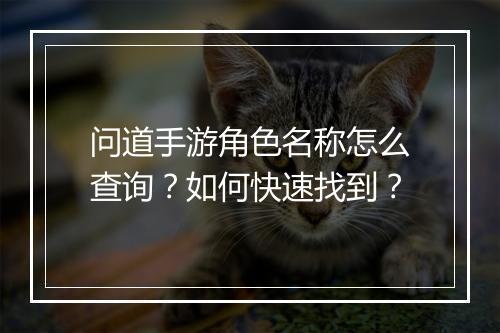 问道手游角色名称怎么查询？如何快速找到？