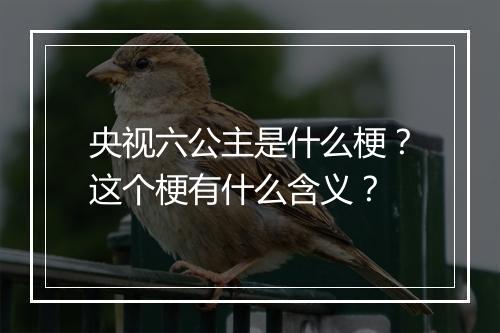 央视六公主是什么梗？这个梗有什么含义？