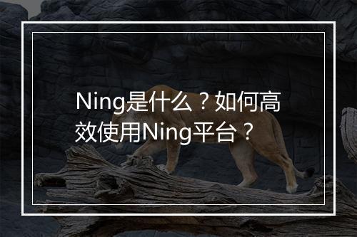 Ning是什么?如何高效使用Ning平台?