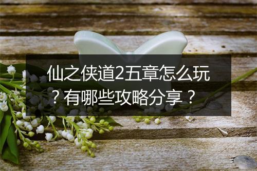 仙之侠道2五章怎么玩？有哪些攻略分享？