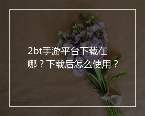2bt手游平台下载在哪?下载后怎么使用?