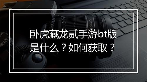 卧虎藏龙贰手游bt版是什么？如何获取？