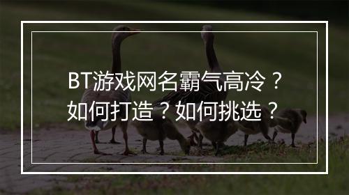BT游戏网名霸气高冷?如何打造?如何挑选?
