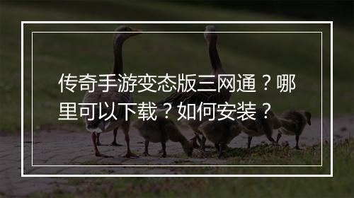 传奇手游变态版三网通？哪里可以下载？如何安装？