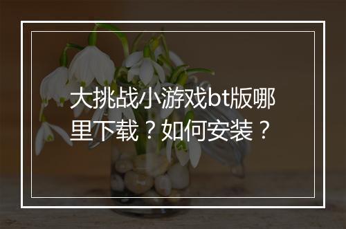 大挑战小游戏bt版哪里下载？如何安装？