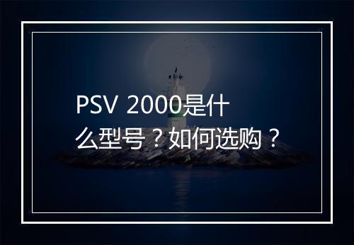 PSV 2000是什么型号？如何选购？