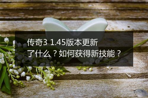 传奇3 1.45版本更新了什么?如何获得新技能?
