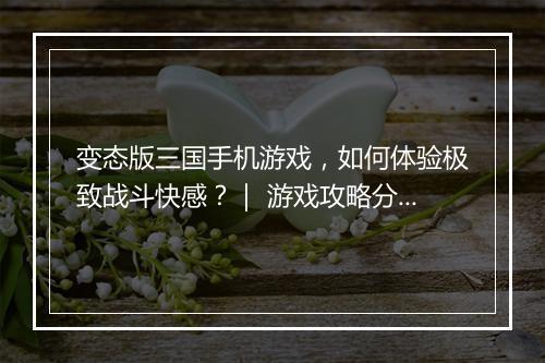 变态版三国手机游戏，如何体验极致战斗快感？｜ 游戏攻略分享