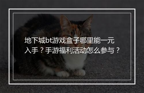 地下城bt游戏盒子哪里能一元入手？手游福利活动怎么参与？