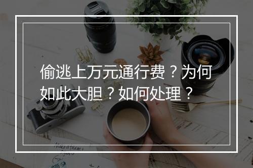 偷逃上万元通行费？为何如此大胆？如何处理？