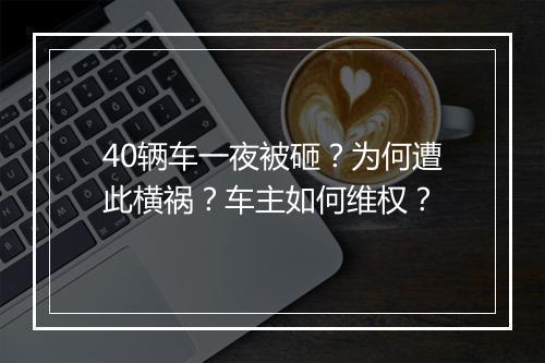 40辆车一夜被砸?为何遭此横祸?车主如何维权?