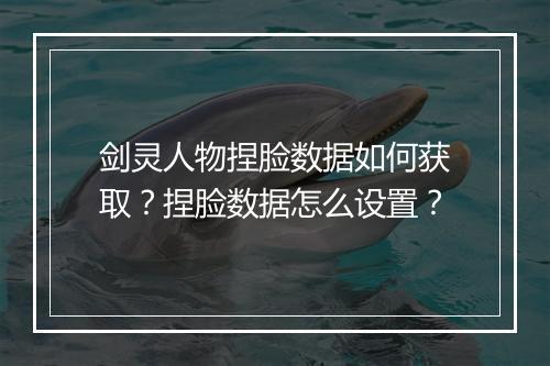 剑灵人物捏脸数据如何获取？捏脸数据怎么设置？