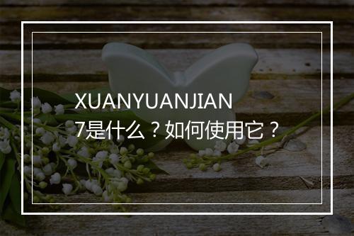 XUANYUANJIAN7是什么？如何使用它？