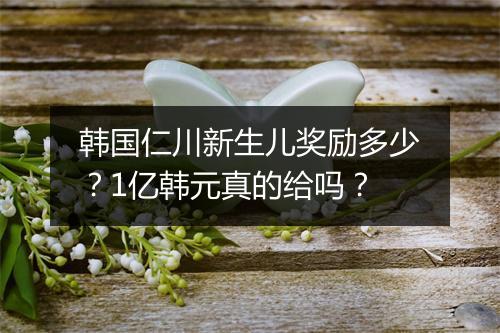 韩国仁川新生儿奖励多少?1亿韩元真的给吗?