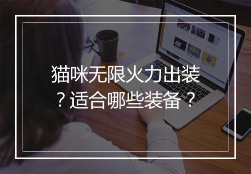 猫咪无限火力出装?适合哪些装备?
