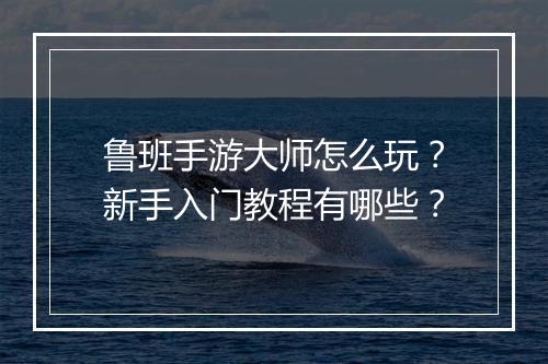 鲁班手游大师怎么玩？新手入门教程有哪些？