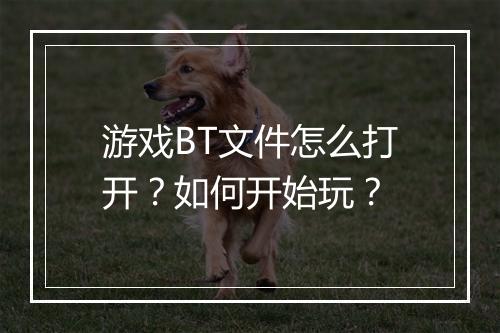 游戏BT文件怎么打开？如何开始玩？