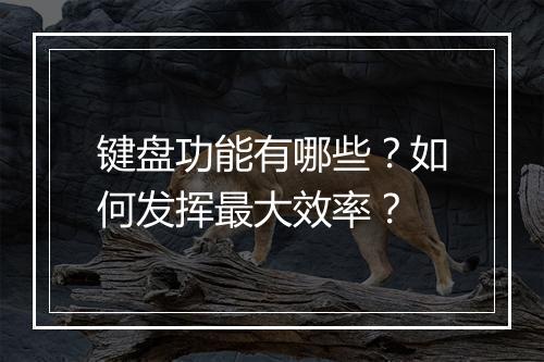 键盘功能有哪些?如何发挥最大效率?
