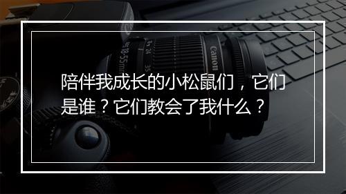 陪伴我成长的小松鼠们,它们是谁?它们教会了我什么?