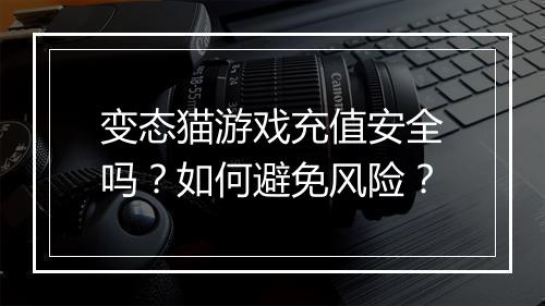 变态猫游戏充值安全吗?如何避免风险?