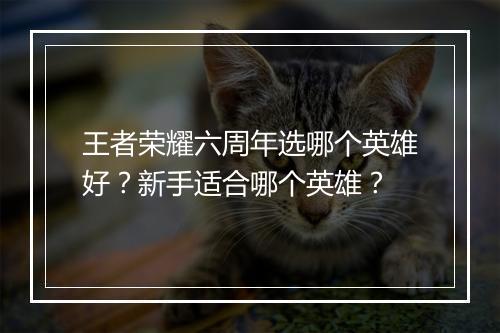王者荣耀六周年选哪个英雄好？新手适合哪个英雄？