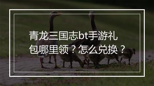 青龙三国志bt手游礼包哪里领？怎么兑换？