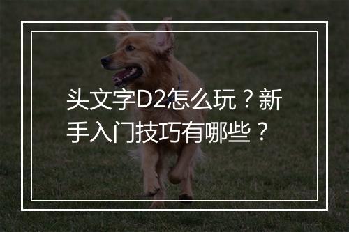 头文字D2怎么玩?新手入门技巧有哪些?