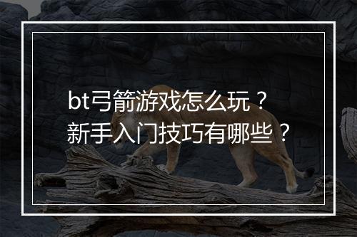 bt弓箭游戏怎么玩？新手入门技巧有哪些？