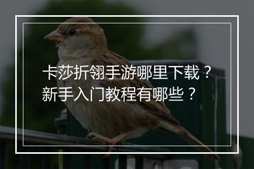 卡莎折翎手游哪里下载?新手入门教程有哪些?