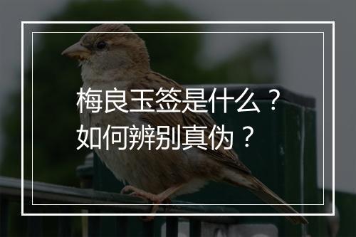 梅良玉签是什么?如何辨别真伪?