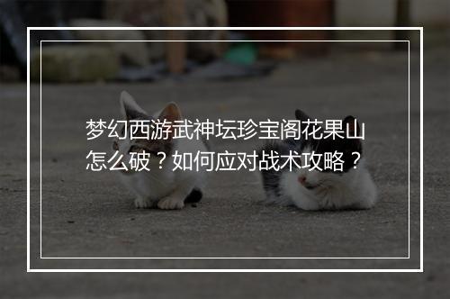 梦幻西游武神坛珍宝阁花果山怎么破？如何应对战术攻略？