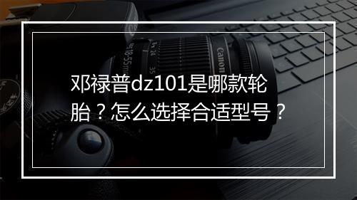 邓禄普dz101是哪款轮胎?怎么选择合适型号?