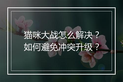 猫咪大战怎么解决?如何避免冲突升级?