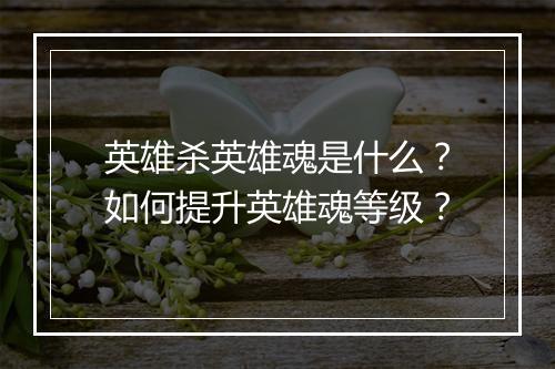 英雄杀英雄魂是什么?如何提升英雄魂等级?