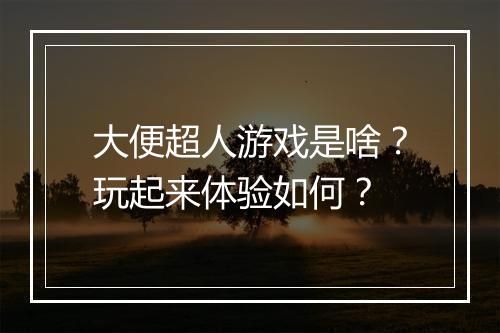 大便超人游戏是啥？玩起来体验如何？