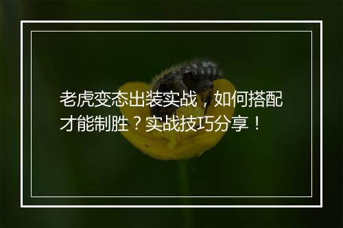 老虎变态出装实战,如何搭配才能制胜?实战技巧分享!