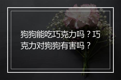 狗狗能吃巧克力吗?巧克力对狗狗有害吗?