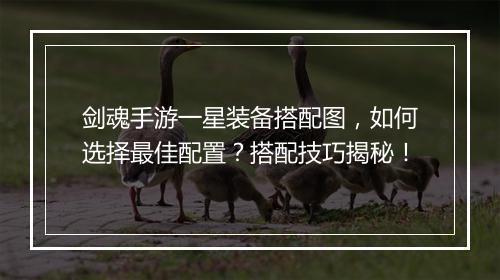 剑魂手游一星装备搭配图，如何选择最佳配置？搭配技巧揭秘！
