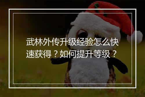武林外传升级经验怎么快速获得?如何提升等级?