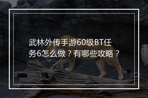 武林外传手游60级BT任务6怎么做？有哪些攻略？