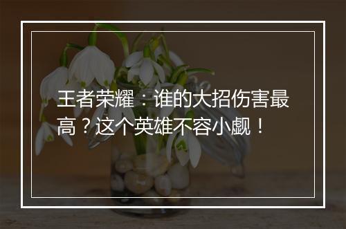 王者荣耀：谁的大招伤害最高？这个英雄不容小觑！