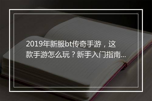 2019年新服bt传奇手游,这款手游怎么玩?新手入门指南?