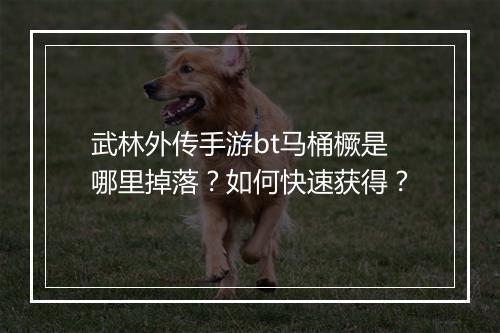 武林外传手游bt马桶橛是哪里掉落？如何快速获得？