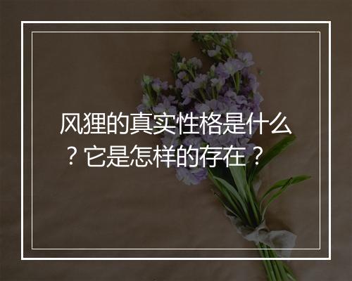 风狸的真实性格是什么？它是怎样的存在？