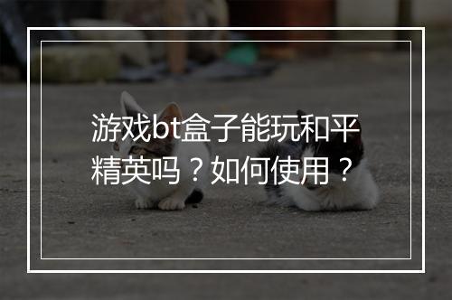 游戏bt盒子能玩和平精英吗?如何使用?