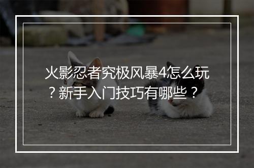 火影忍者究极风暴4怎么玩?新手入门技巧有哪些?