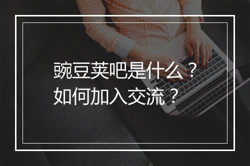 豌豆荚吧是什么？如何加入交流？