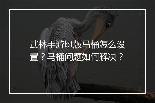 武林手游bt版马桶怎么设置？马桶问题如何解决？