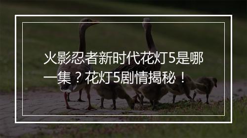 火影忍者新时代花灯5是哪一集？花灯5剧情揭秘！